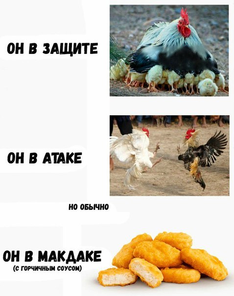 Не очень светлый юмор к середине недели