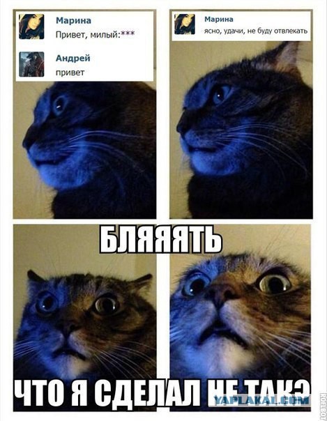 Картинки об отношениях и любви