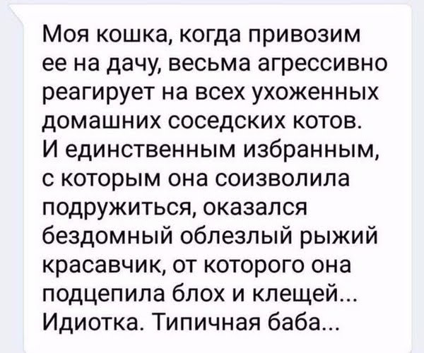 Нестандартный юмор