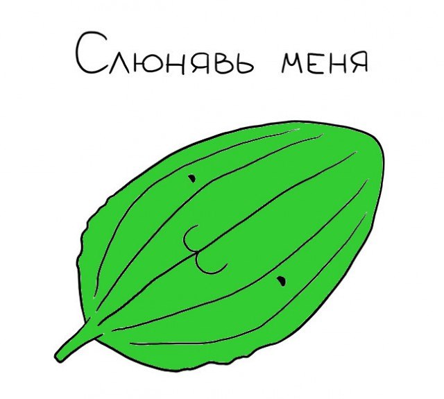 Итоги проверки пользователей