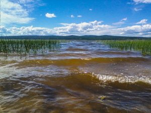 Забайкальцы