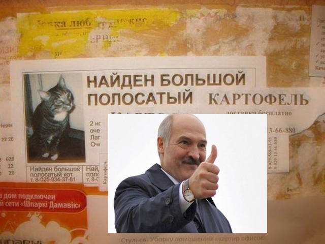 Смешные объявления, надписи и вывески