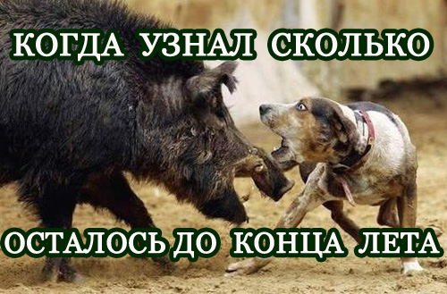 Подборка интересных и веселых картинок