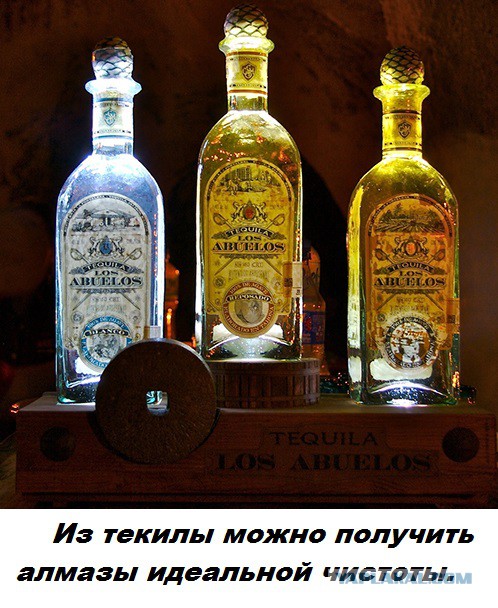 Подборка бесполезных фактов