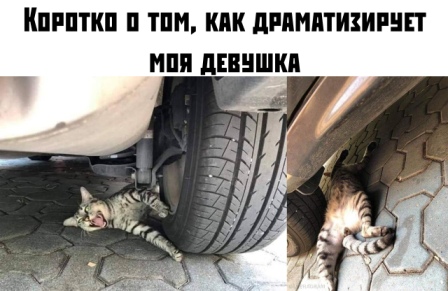 Немного картинок с надписями и без - 22