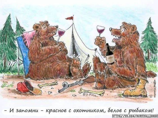 Если на вас напал медведь