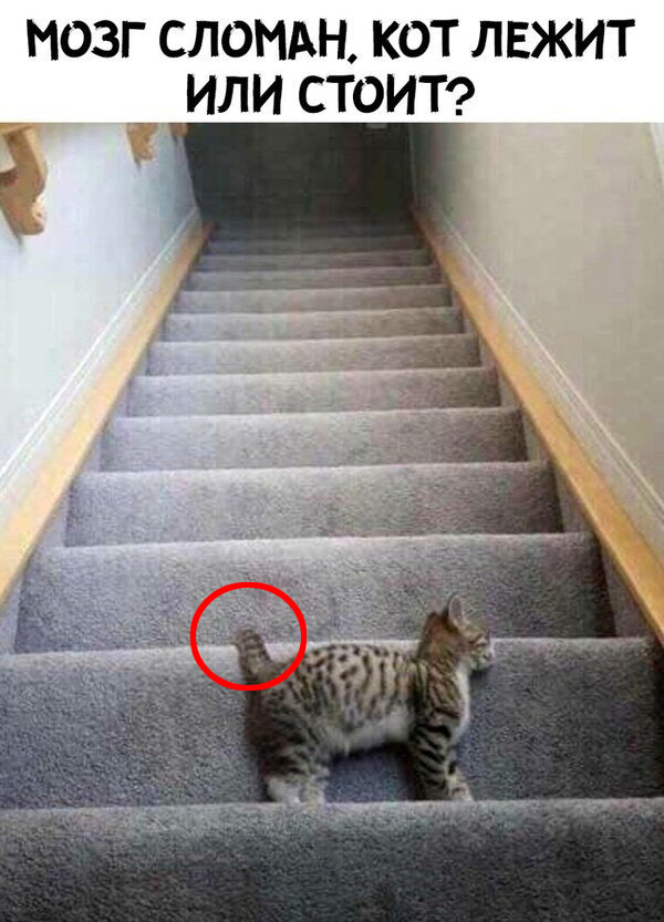 Бредзона