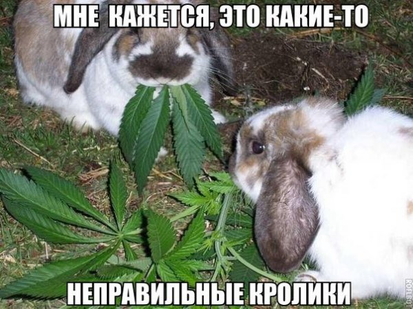 Прикольные и просто красивые картинки 15.08.2020