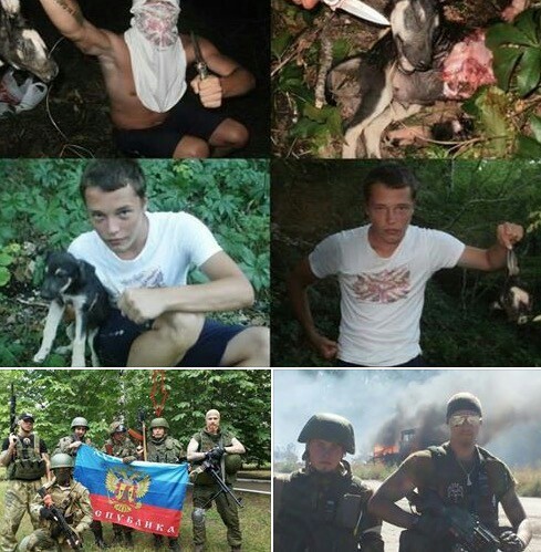 След Тигра