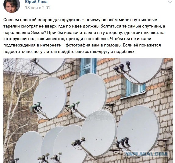 Сказочный... эксперт по тарелкам