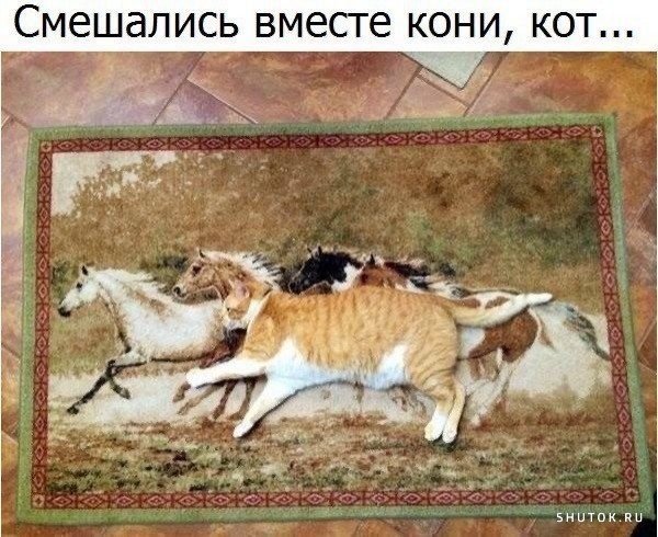 Картинки и мемы для настроения 015