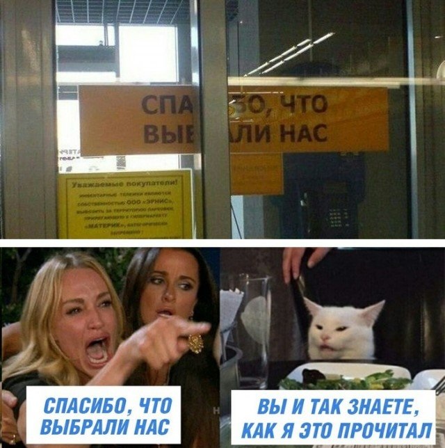 Кота не переубедить