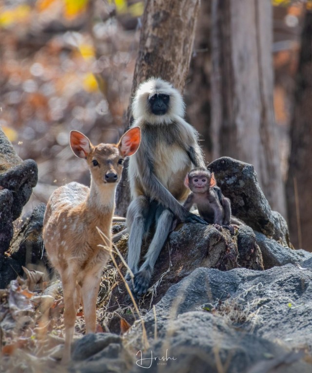 Подборка интересных и веселых картинок 06.02.21