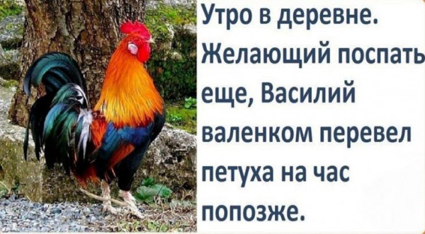 Весёлые картинки 26.05.21