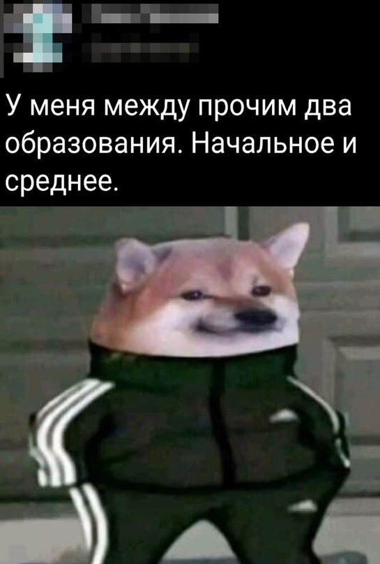 Весёлый полтишок 04.10