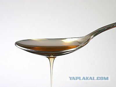 Афродизиаки в природе
