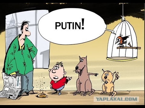 Ну наконец-то! Канадская журналистка распознала русский след в организации протеста дальнобойщиков