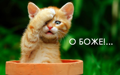 "Я не такая, я за серьезные отношения"