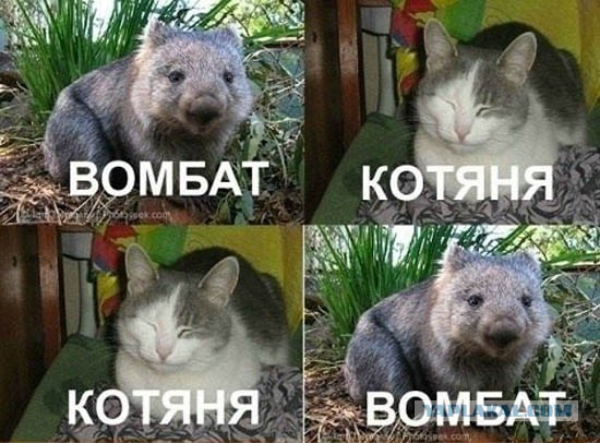 Так себе картинки 12.02.22