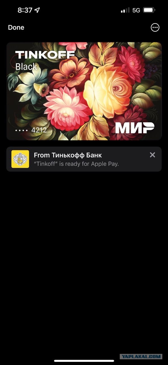 Apple запретила использовать карты «Мир» в Apple Pay