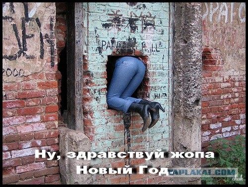 Ночные сракеры припарковались