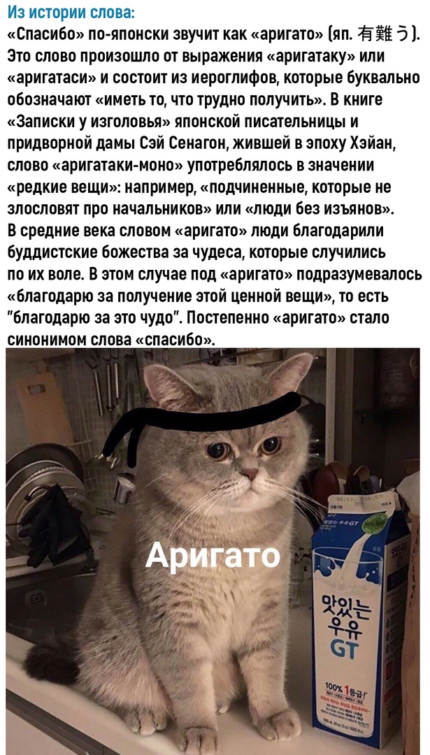 Так себе картинки 05.04.22