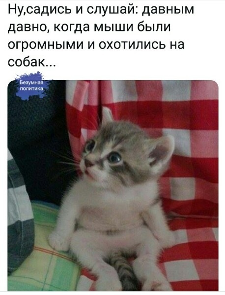 Картинки и мемы, всем хороших выходных