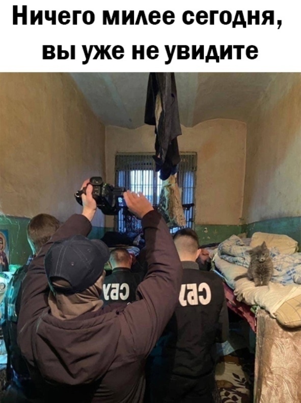 Так себе картинки 10.05.22