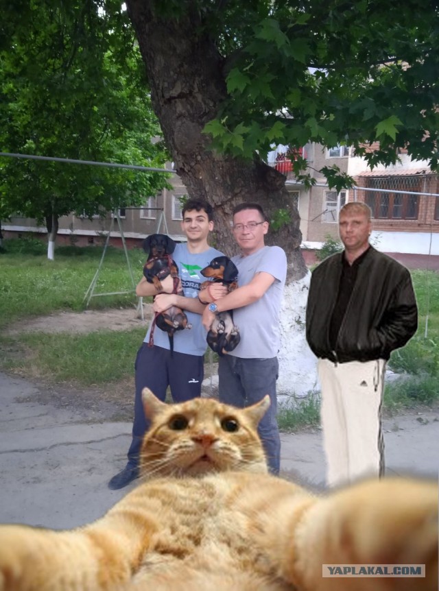 Познакомился