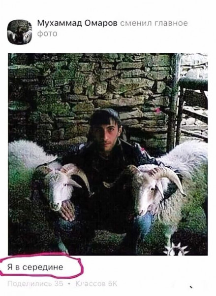 Мемы на конец июля