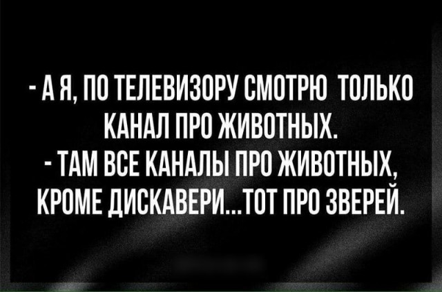 Картинки и мемы, всем хороших выходных