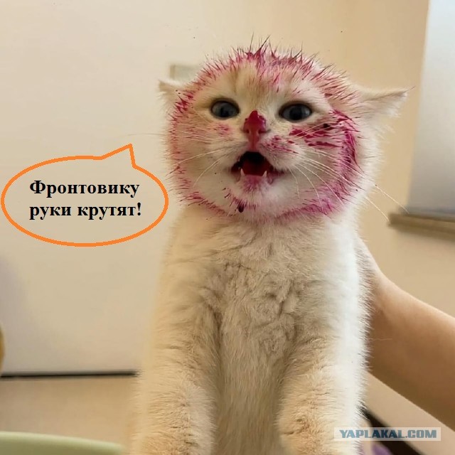 Пойман на месте преступления и очень раскаивается (нет)
