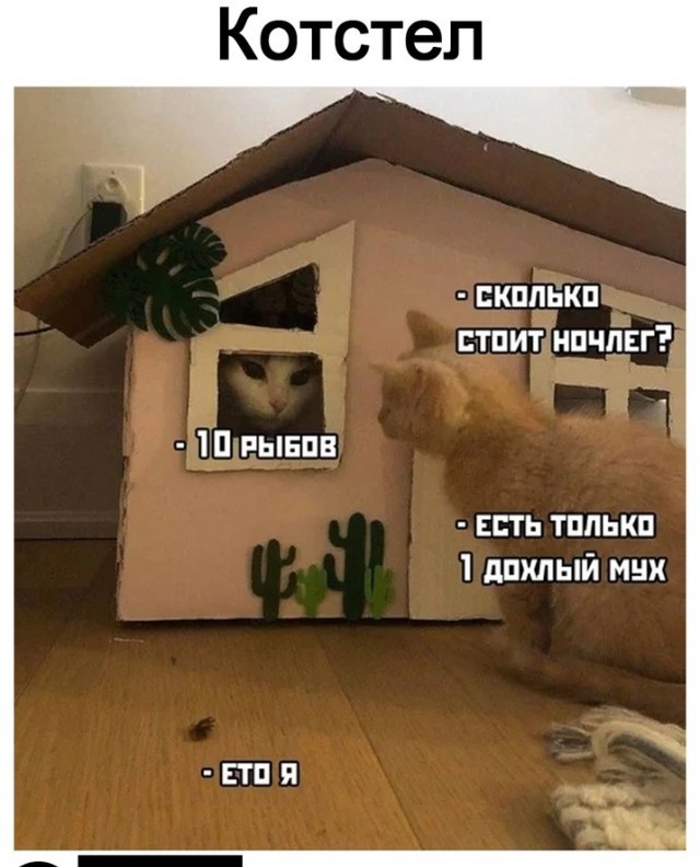 Юмор в картинках и без