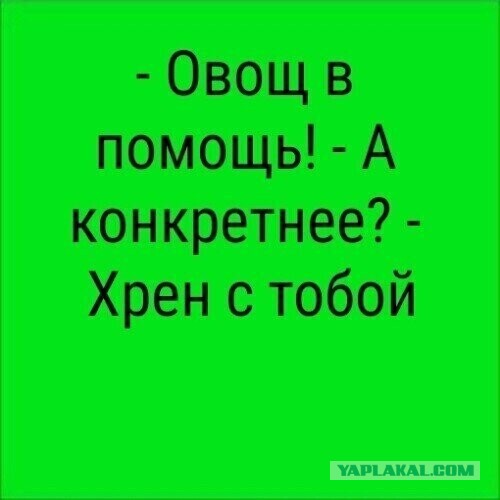 Картинки и мемы. Выходные близко...