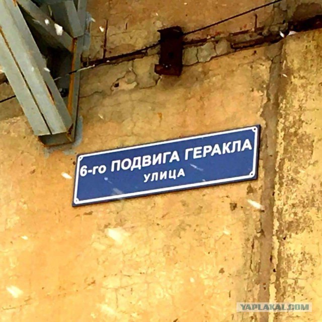 Меркантильные женщины