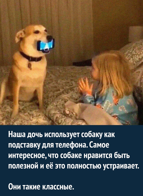 Картинки и мемы для настроения - 119