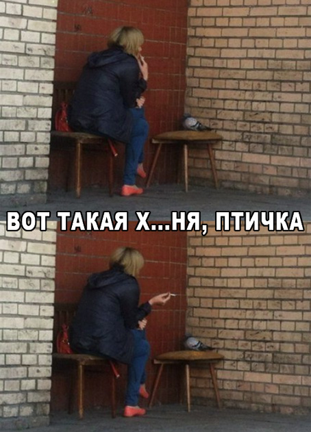 Так себе картинки 26.01.23