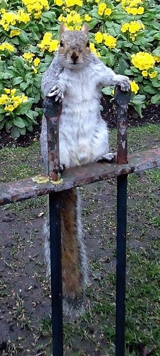 Атака на карман