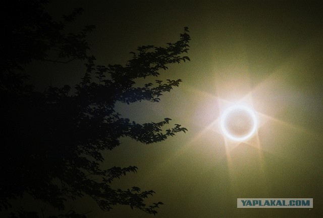 У гроба Папы Иоанна Павла II