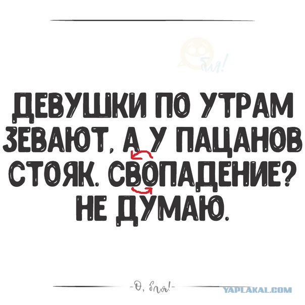 Немного картинок для настроения - 133