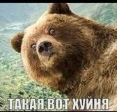 Жуткий ураган обрушился на Подмосковье