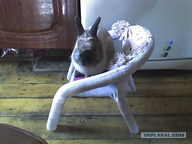 Почистил телефон