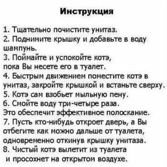 Помыть кошку