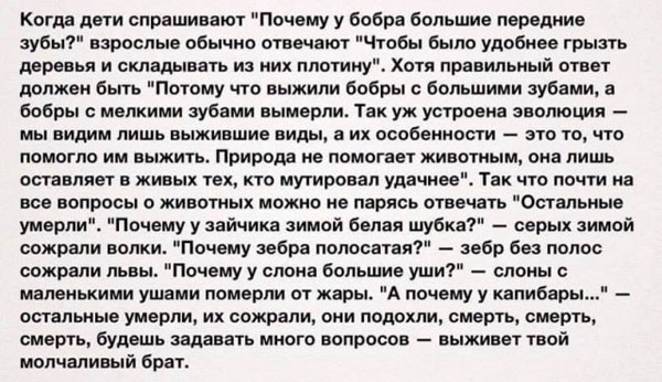 Всего понемногу. От 17.01.24