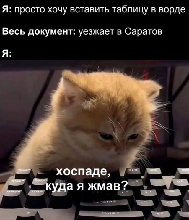 Никакие картинки и такие же тексты