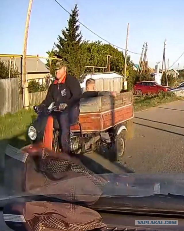 Беги, дядь Мить!