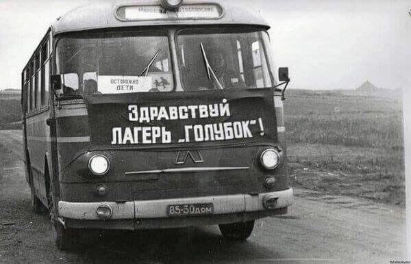 Запретить «Сказку о мёртвой царевне и семи богатырях» Пушкина предложили общественники