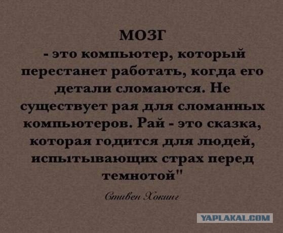Так себе картинки 12.11.24