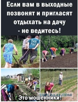 Прикольные и просто красивые картинки