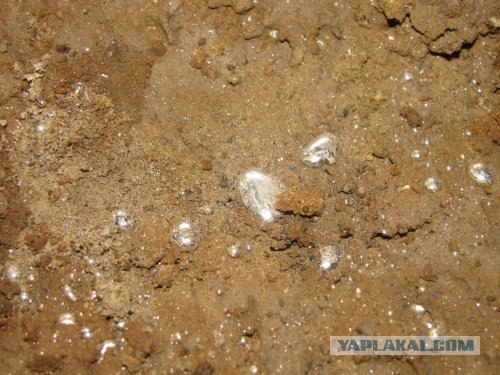 Второй "Чернобыль" в Киеве